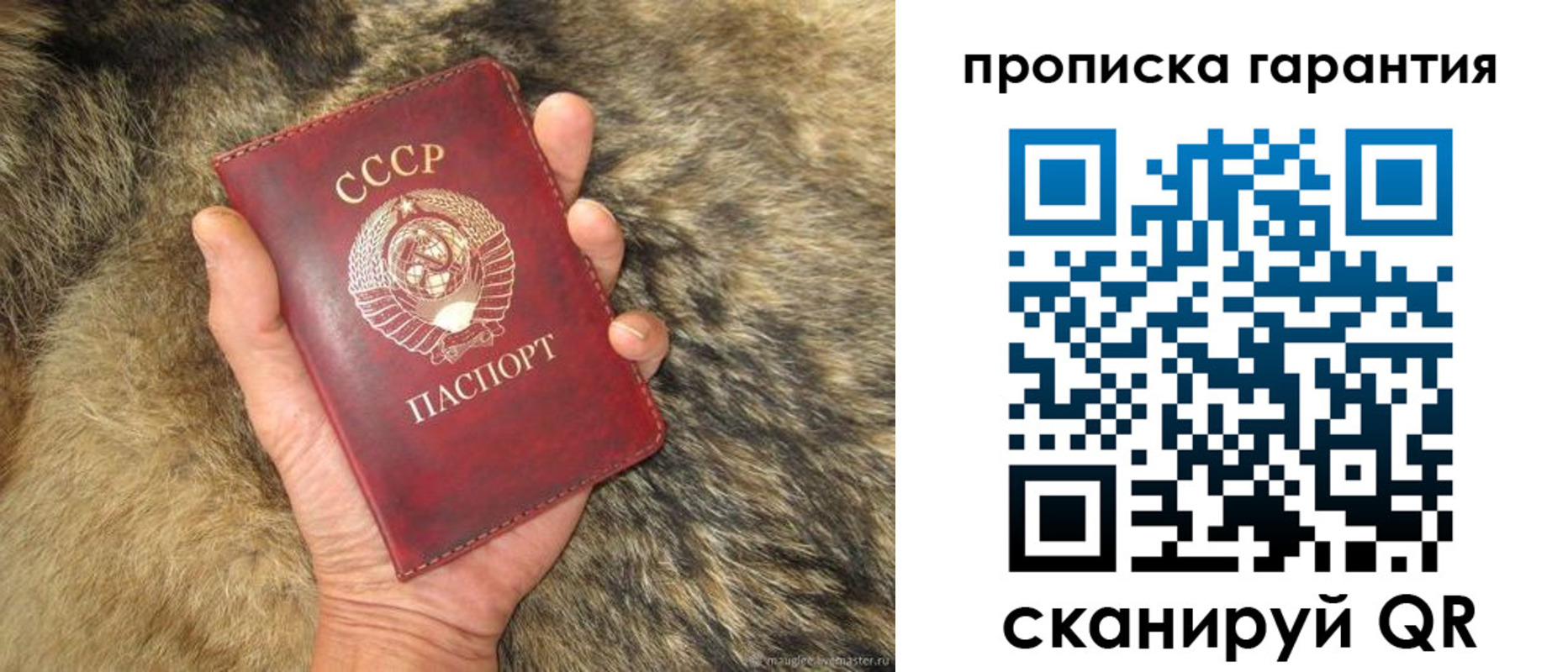прописка паспорт в Козловке